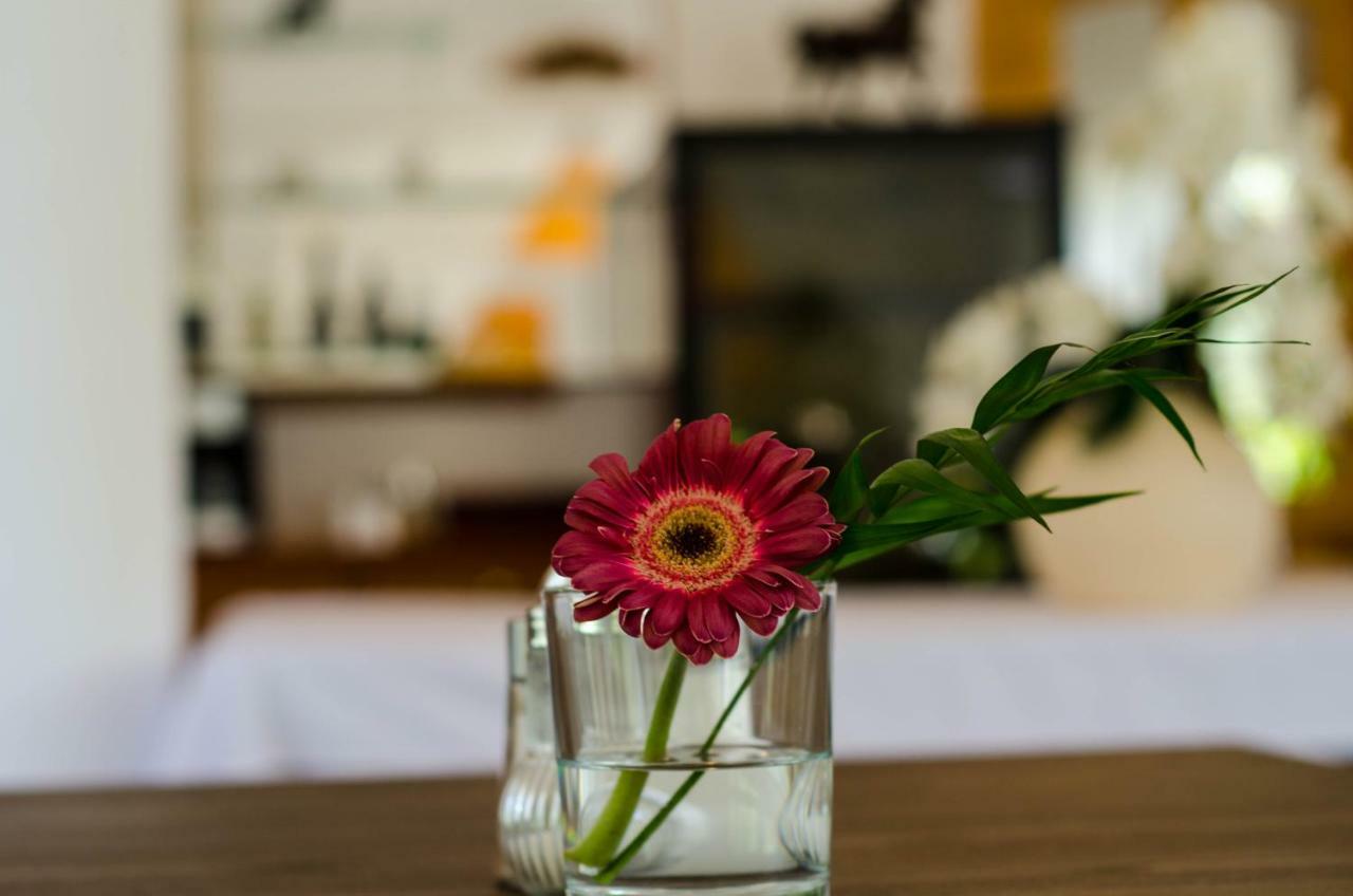 Hotel Wagner Panzio Cserszegtomaj Zewnętrze zdjęcie